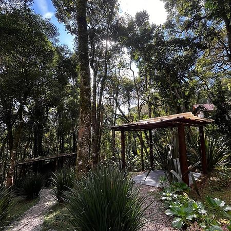 Refugio Familiar Em Monte Verde Monteverde Extérieur photo