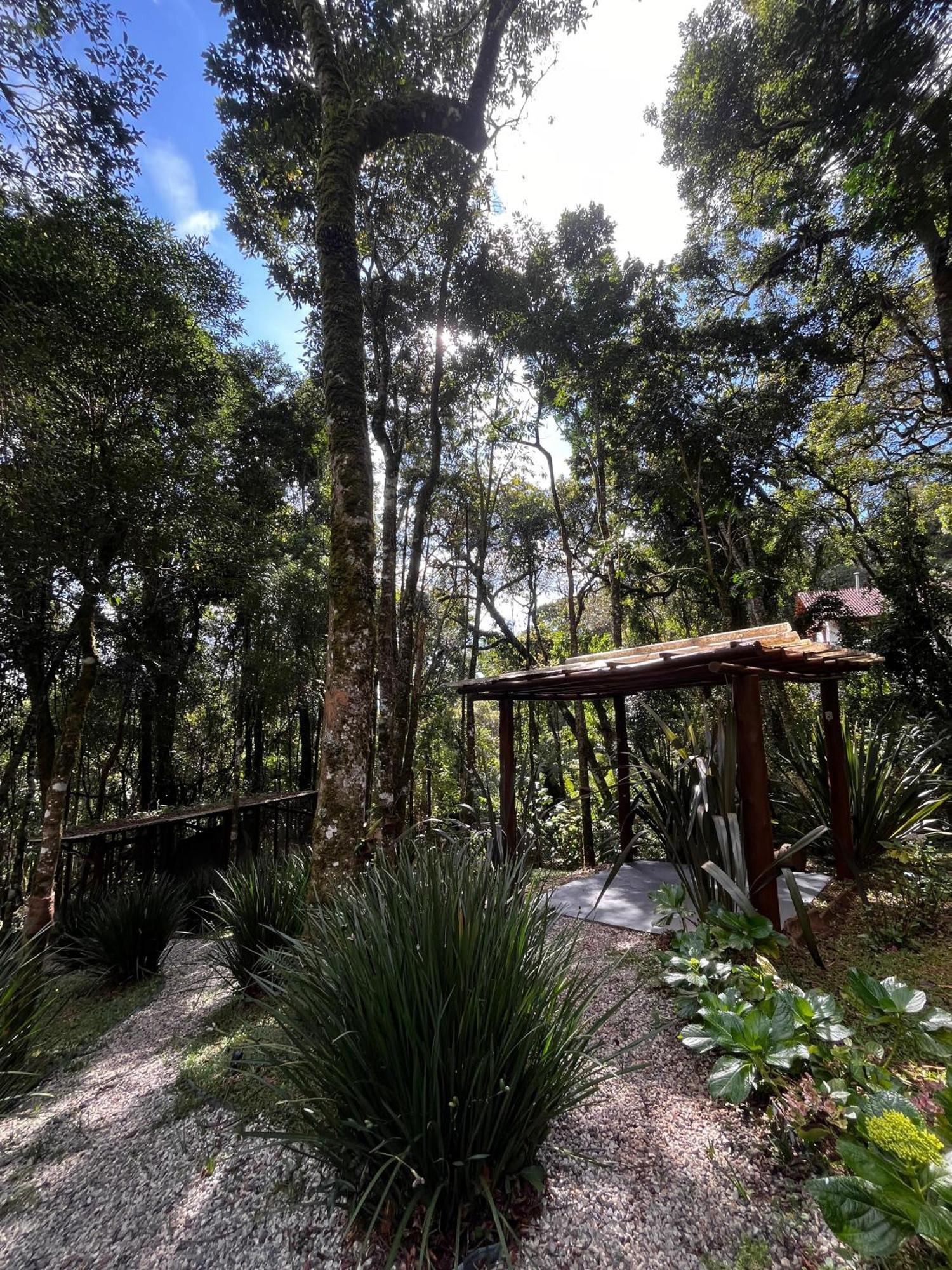 Refugio Familiar Em Monte Verde Monteverde Extérieur photo